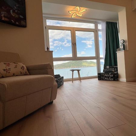 Guesthouse Mili Orşova Екстериор снимка