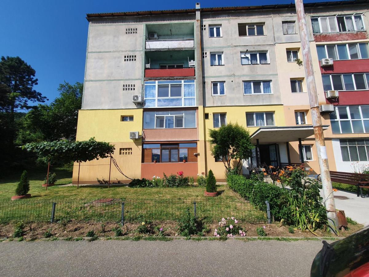 Guesthouse Mili Orşova Екстериор снимка